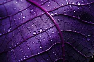 AI generated Oversized Macro purple leaf water drops. Generate Ai photo