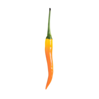 AI generated Fresh chilli isolated on transparent background png