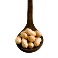 AI generated Peanuts in wooden spoon isolated on transparent background png