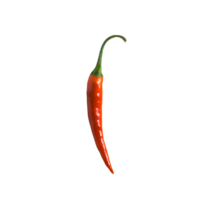 ai généré Frais Chili isolé sur transparent Contexte png