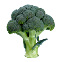 ai generato fresco broccoli isolato su trasparente sfondo png