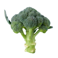 ai generato fresco broccoli isolato su trasparente sfondo png