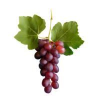 AI generated Red grape with leaves isolated on transparent background png