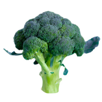 ai generato fresco broccoli isolato su trasparente sfondo png