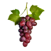 AI generated Red grape with leaves isolated on transparent background png