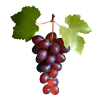 ai generato rosso uva con le foglie isolato su trasparente sfondo png