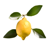 AI generated Fresh lemon with green leaves isolated on transparent background png