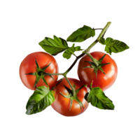 AI generated Fresh tomatoes with leaves isolated on transparent background png