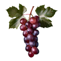 AI generated Red grape with leaves isolated on transparent background png