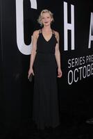 LOS ANGELES - OCT 17  Gretchen Mol at the Hulu Chance Premiere at Harmony Gold Theater on October 17, 2016 in Los Angeles, CA photo