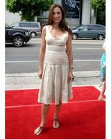 Andie MacDowell Barnyard Premiere ArcLight Theaters Los Angeles, CA July 30, 2006 photo