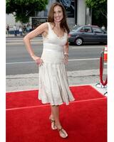 Andie MacDowell Barnyard Premiere ArcLight Theaters Los Angeles, CA July 30, 2006 photo