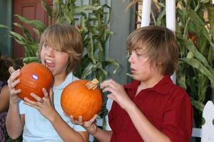 Cole  Dylan Sprouse arriving to the Camp Ronald McDonald Event on the backlot of Universal Studios, in Los Angeles, CA  on October 26, 2008 photo