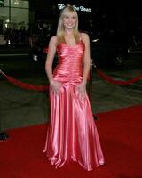 Carly Schroeder FIREWALL Premiere Grauman's Chinese Theater Los Angeles, CA February 2, 2006 photo