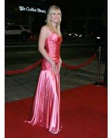 Carly Schroeder FIREWALL Premiere Grauman's Chinese Theater Los Angeles, CA February 2, 2006 photo