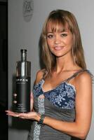 April Scott GBK American Music Awards Gifting Suite 2007  The Standard Hotel Downtown  Los Angeles, CA November 16, 2007 photo