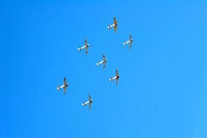 Planes flying in formation in honor of Veterans Day over golf course Golf Digest Celebrity Invitational Golf Tournament 2007 Lakeside Country Club Burbank, CA November 12, 2007 photo