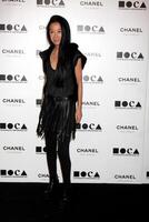 LOS ANGELES - NOV 13  Vera Wang arrives at the MOCA's Annual Gala The Artist's Museum Happening 2010 at Museum of Contemporary Art on November 13, 2010 in Los Angeles, CA photo