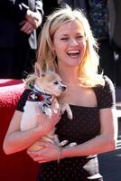 LOS ANGELES - DEC 1  Reese Witherspoon  Bruiser at the Reese Witherspoon Hollywood Walk of Fame Star Ceremony at W Hotel Hollywood on December 1, 2010 in Los Angeles, CA photo