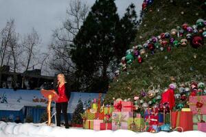 los angeles - dic 23 alison sweeney a el Grinchmas celebridad fiesta lecturas a universal estudios tema parque en diciembre 23, 2010 en los ángeles, California foto