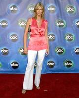 Natasha Henstridge ABC TCA Party The Abby W. Hollywood, CA July 27, 2005 photo