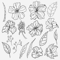 Minimalist A hand drawn set of tropical flowers, branches, and leaves. Exotic and beautiful design elements are perfect for designing patterns, posters, wallpaper, backgrounds, and wedding invitations vector