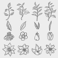 Minimalist hand drawn floral in black line art, perfect for decoration on walls or wedding invitation backgrounds. Exotic design elements such as flowers, leaves and stems. vector