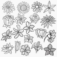 Set of minimalist, beautiful flowers in hand drawn line art, great for wedding invitations, save the date, pattern design, print, cover, or wallpaper vector