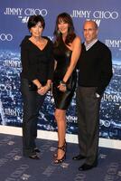 marilyn katzenberg, tamara melón, jeffrey katzenberg llegando a el palanqueta choo para hm lanzamiento fiesta privado residencia Oeste hollywood, California noviembre 2, 2009 foto