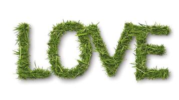 AI generated the text LOVE made by grass, isolated on white background photo