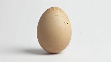 AI generated Chicken Egg on white background photo