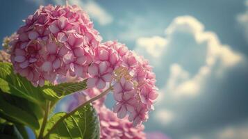 ai generado rosado hortensia en un soleado día. foto