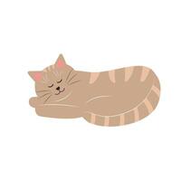 Cute funny cat. Fat pet animal. Cartoon character. Flat vector illustration.