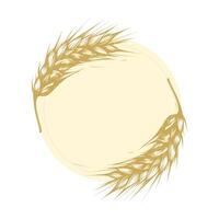 Frame from ears of wheat with copy space. dried whole grains. Cereal harvest, agriculture, organic farming. Vector illustration Isolated on background