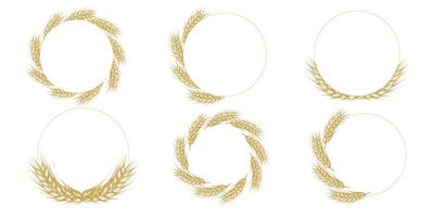 Hand drawn food wheat stalks, wheat, oats, rye grain spikes, bunch icons set silhouette. Vector illustration isolated on white background. Cereal frames for organic farm porducts, bakery logo, menu