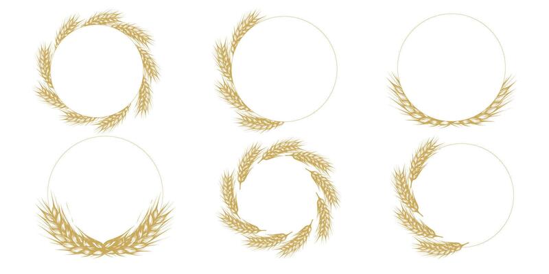 Hand drawn food wheat stalks, wheat, oats, rye grain spikes, bunch icons set silhouette. Vector illustration isolated on white background. Cereal frames for organic farm porducts, bakery logo, menu