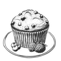 Vector sketch illustration of Muffin on plate. Vintage style drawing isolated on white background. Cake with chocolate pieces and berries blueberry and raspberry