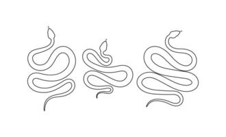 Snake line art vector isolated on white background.