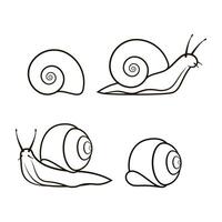 Snail line art vector isolated on white background. Snail icon vector.