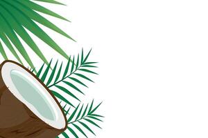 Minimalistic vector background with fresh juicy coconut and palm leaves on a white background.