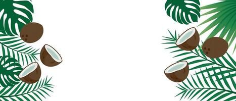 Horizontal banner with realistic coconut exotic fruits and palm eyelids and leaves on a white background. Frame for summer, holiday and tropical design, vector illustration.