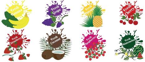 Set of fresh exotic fruits and berries with bright splashes of juice on a white background. Vector illustration.