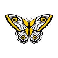 butterfly hand drawn illustration vector