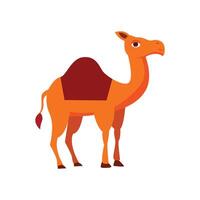 camel vector illustration, cartoon camel in flat style