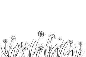 Field with wildflowers, grass, insects sketch hand drawn banner on isolated white background vector illustration. Floral pattern with black line silhouette of glade flowers cornflowers, ladybug, bee