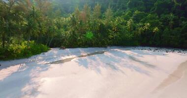 Aerial drone view of the tropical beach with clear turquoise sea, white sand and palm tree video