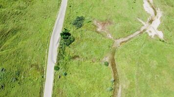 Haut vers le bas drone coup de rural route avec personne sur il. oiseau œil vue video