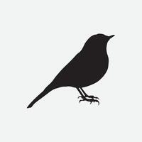 bird silhouettes white background. Vector illustration