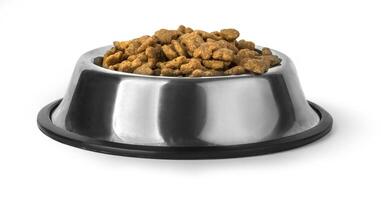 Dog food in bowl, isolated photo