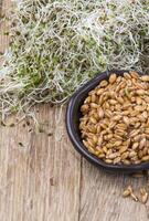 seeds in a ceramic bowl photo